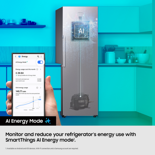 Samsung RZ70H32HEFEU 59.5cm Total No Frost Freezer